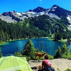 Meet your Posher, Donald